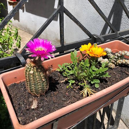 B&B Daddanca Ales Dış mekan fotoğraf