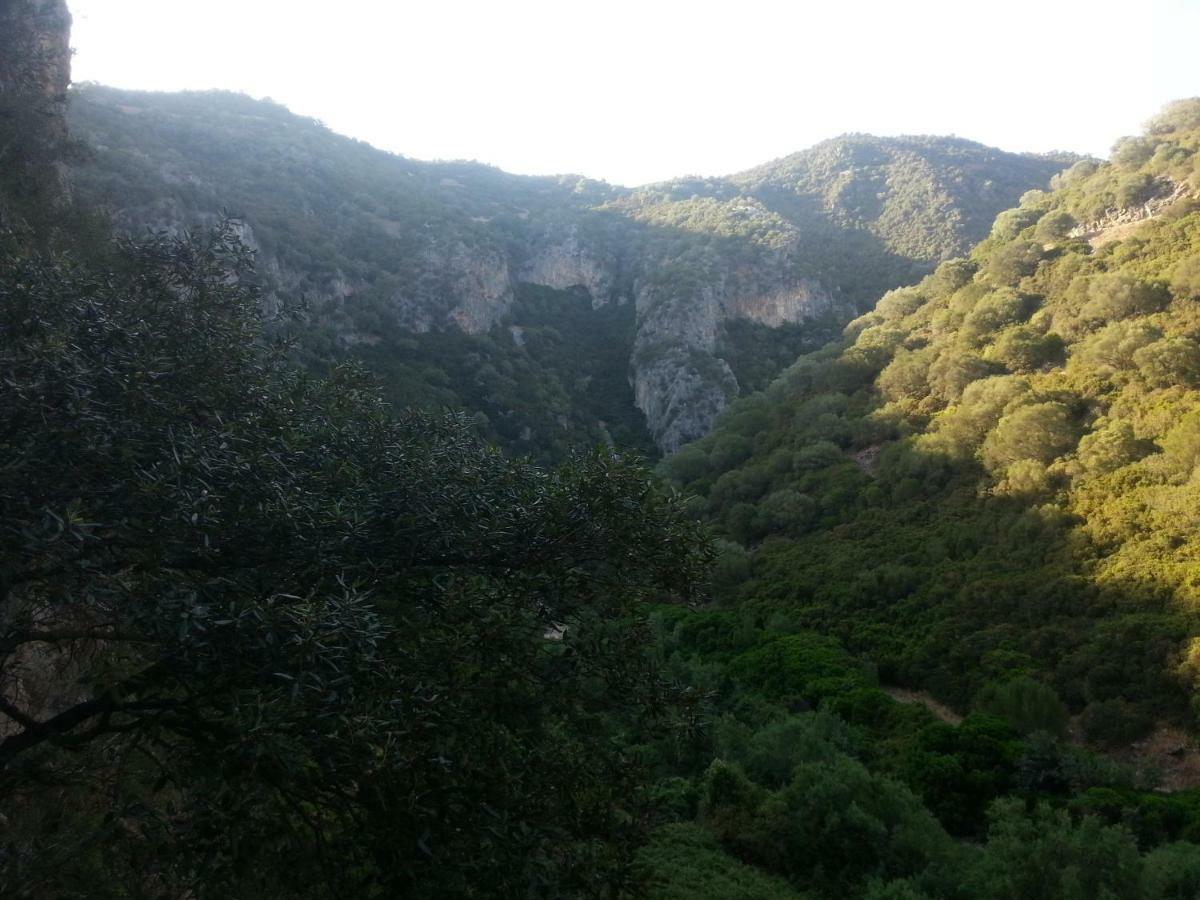 B&B Daddanca Ales Dış mekan fotoğraf