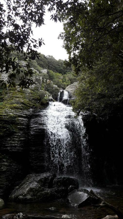 B&B Daddanca Ales Dış mekan fotoğraf