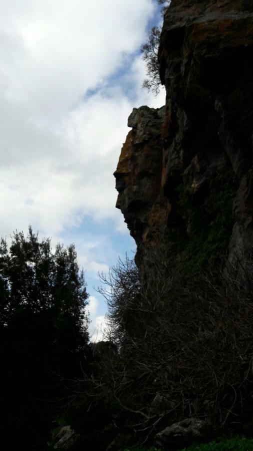 B&B Daddanca Ales Dış mekan fotoğraf