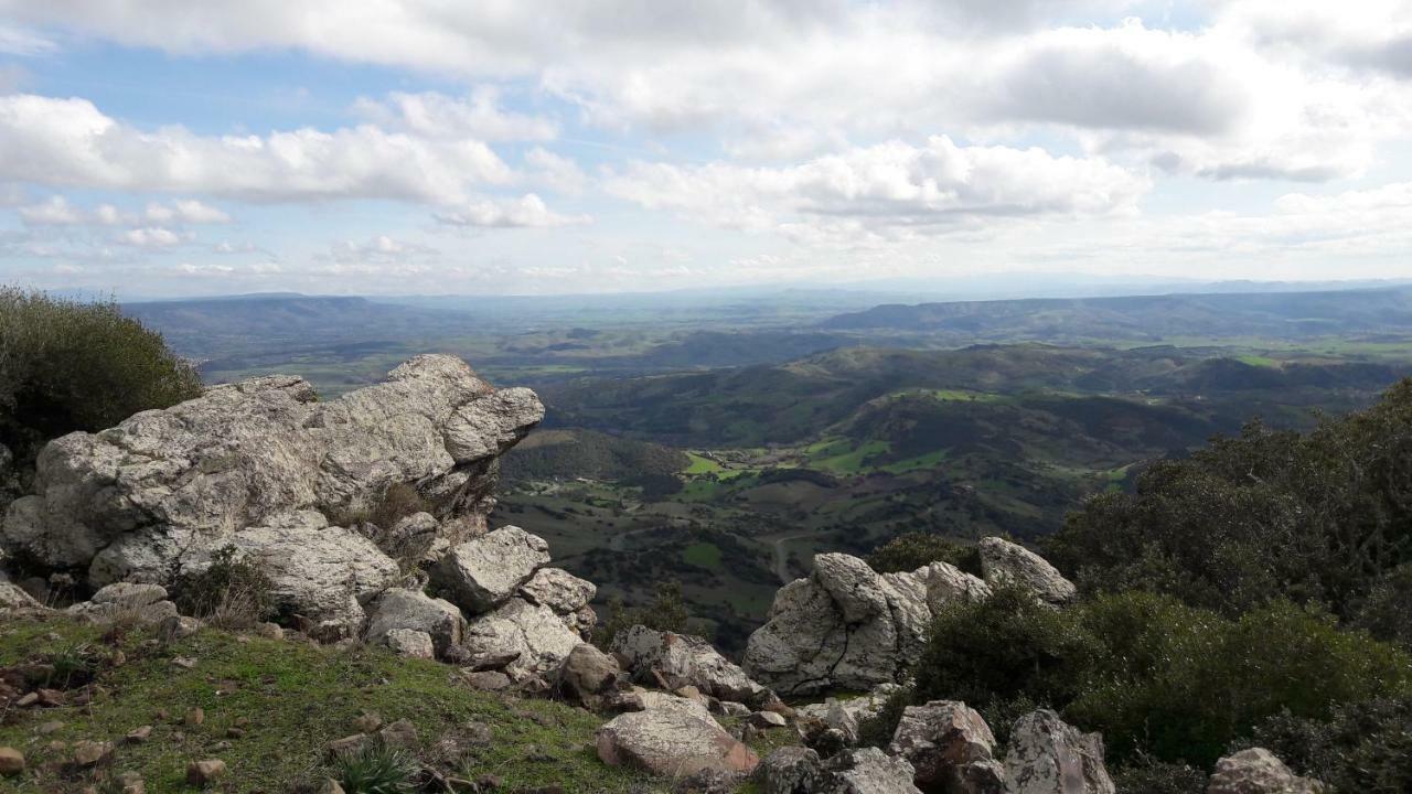 B&B Daddanca Ales Dış mekan fotoğraf