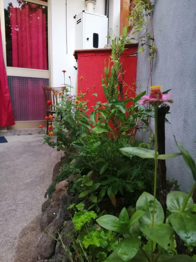 B&B Daddanca Ales Dış mekan fotoğraf